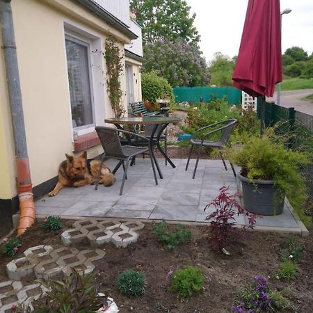 Ferienwohnung Neuensien Sellin  外观 照片